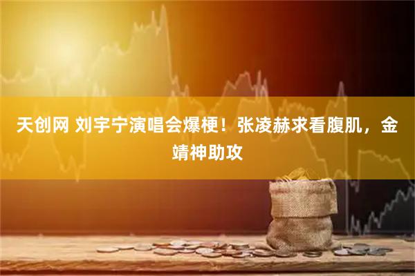 天创网 刘宇宁演唱会爆梗！张凌赫求看腹肌，金靖神助攻
