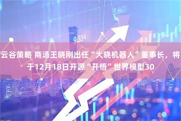 云谷策略 商汤王晓刚出任“大晓机器人”董事长，将于12月18日开源“开悟”世界模型30