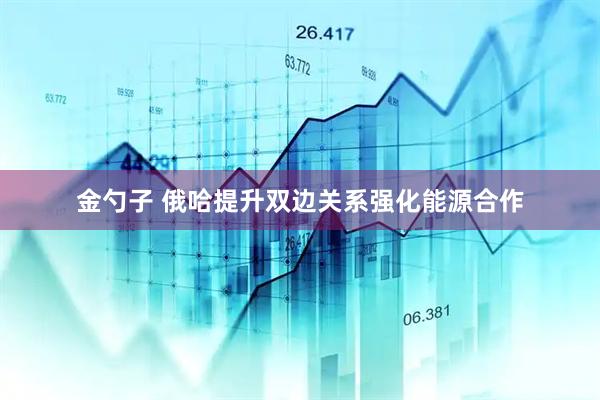 金勺子 俄哈提升双边关系强化能源合作