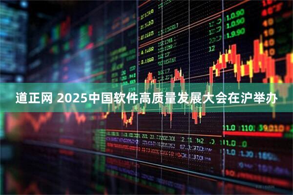 道正网 2025中国软件高质量发展大会在沪举办